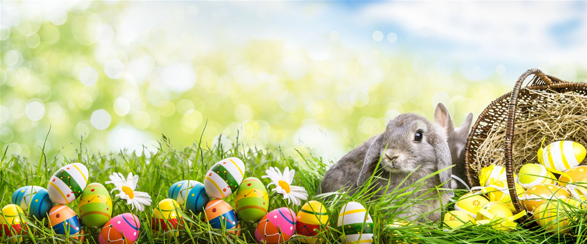 Schraubenkompressor | Druckluftdienst Walz & Sohn GmbH